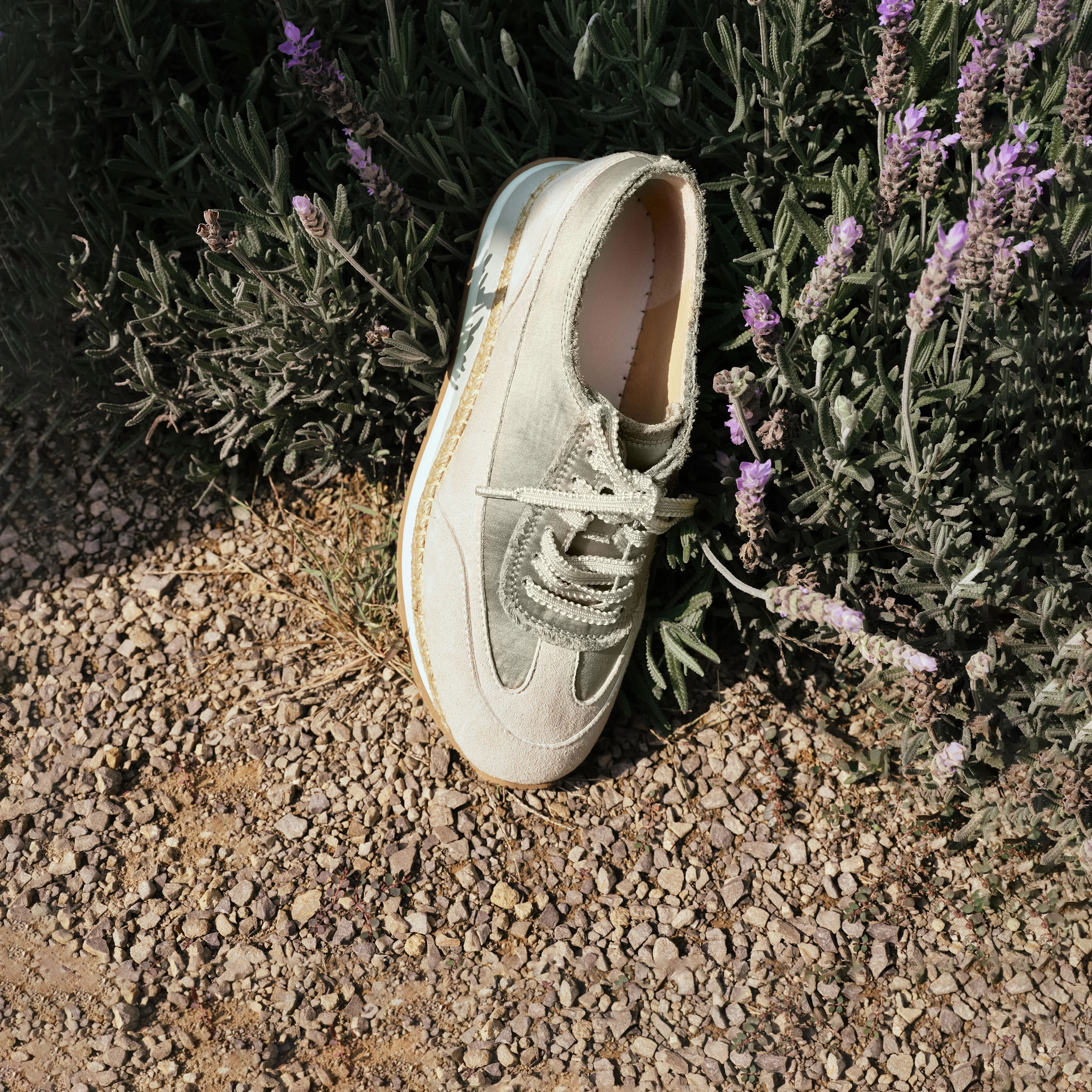 Sneakers - German Trainer EJQ02 - Image 4
